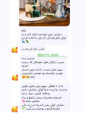 ست کوکی دایناسور